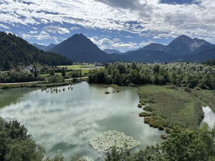 Foto von Grizzli entlang der Tour