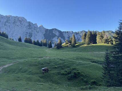 Fotografia z Jure Smej na trase