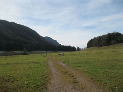 Mamauwiese und Schober