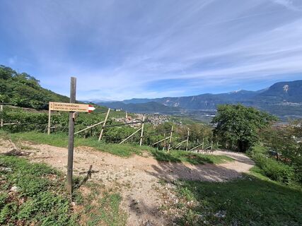 Foto von LW S entlang der Tour