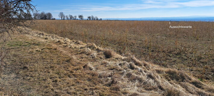 Ausblick nach Süd zur Aussichtswarte (Dach)
