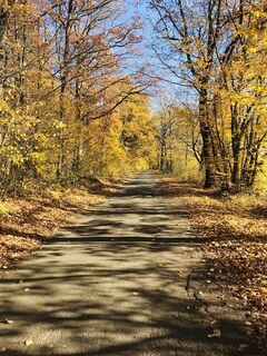 Fotografia z Hans Felli na trase