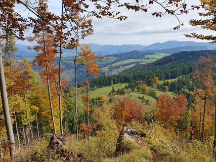 Foto von Gabriele R entlang der Tour