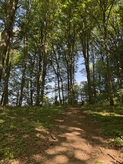 Photo de Márk Lapka le long du parcours