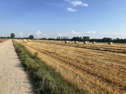 Fotografie z MaurizioPighin na trase