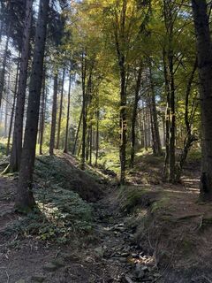 Foto de Manuel Toninello a lo largo del recorrido
