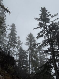 Foto von Niclas Felderer entlang der Tour