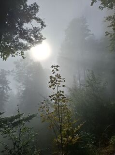 Foto de Maurer Silvia a lo largo del recorrido