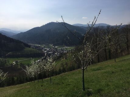 Photo de Ralf Umminger le long du parcours