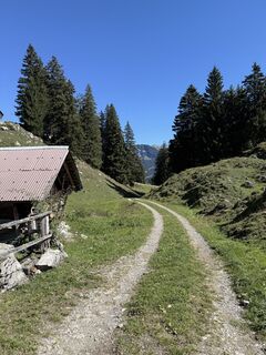 Fotografija s spletne strani Rico Vincenz na poti