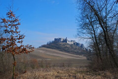 Poysbrunn - Falkenstein