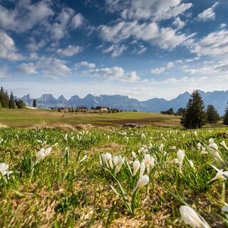 Blick auf die Hochebene Madils