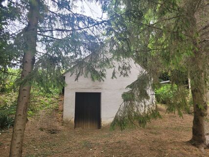 Photo de mmecki le long du parcours