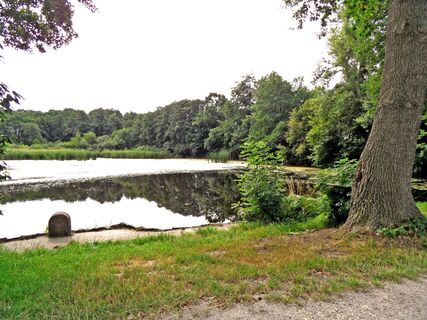Landwehrteich in Wachau
