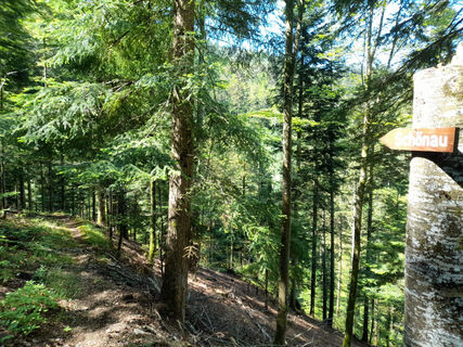 Auf dem Pilgerweg von Schönau nach Todtmoos