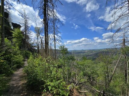 Fotografia z Markus Ortner na trase