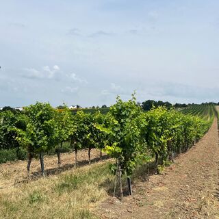 Weinriedenweg