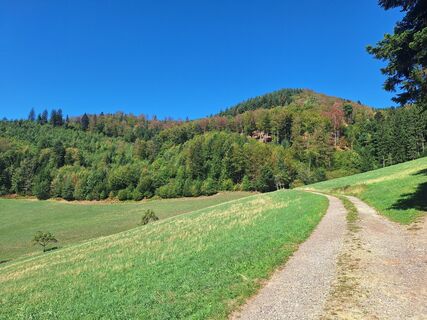 Foto von Katharina entlang der Tour