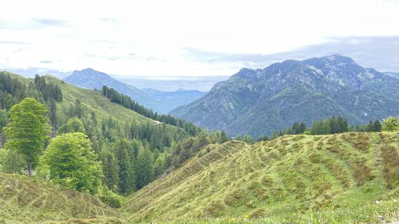Fotografia z Dominik Armbruster na trase