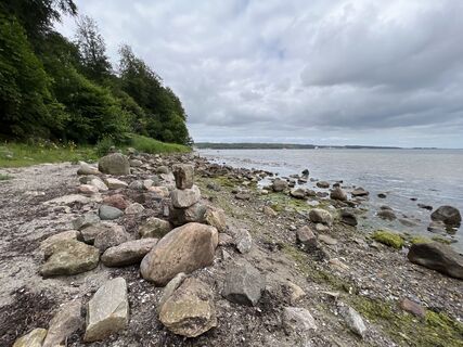 Fotografia z Harald Engel na trase