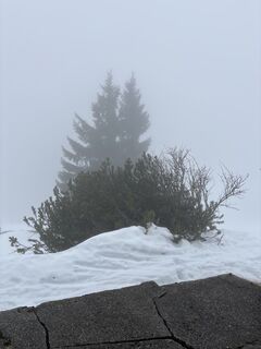 Foto von Heinz Sperl entlang der Tour