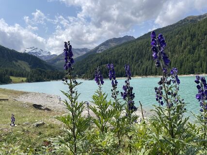 Foto von Raymond Woertman entlang der Tour