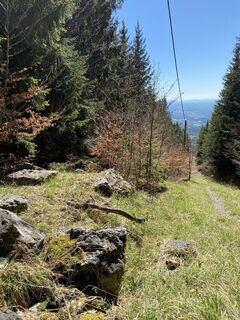Foto von winnie6789 entlang der Tour