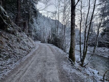Photo de Felix le long du parcours