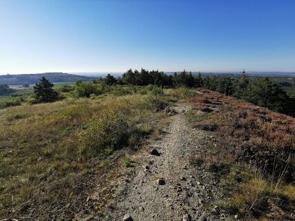 Mittelbergweg