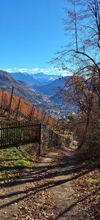 Photo de Michaela Gallmetzer le long du parcours