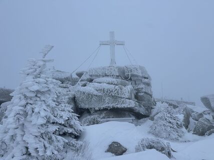 Foto von Dani Geiger / Natur_erleben_dg entlang der Tour