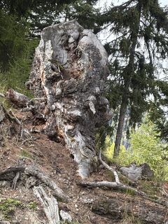 Fotó a Raimondo Cotza honlapról a túra során