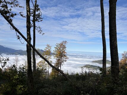 Fotografie z Tine Harth na trase