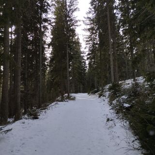 Fotografia z martinm2018 na trase