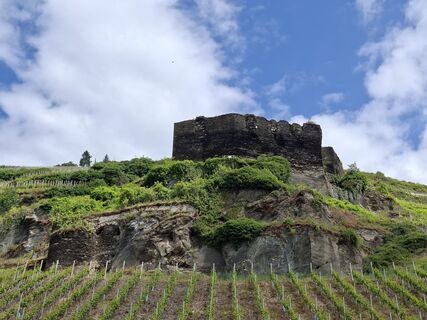 Foto von Mayer entlang der Tour