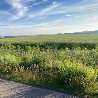 Der Blick streift übers freie Feld bis Hoheneck.