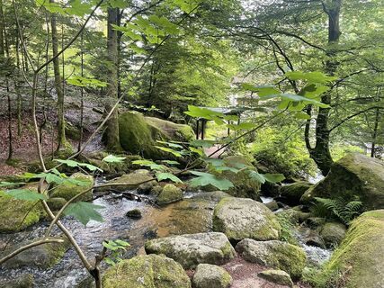 Photo de Ralf Umminger le long du parcours