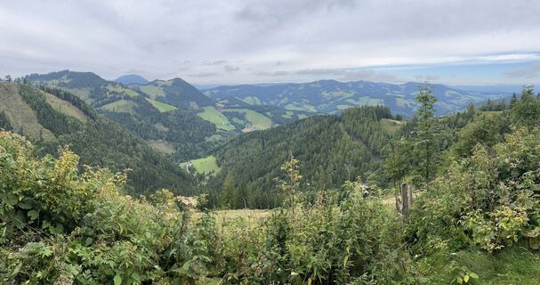 Foto von Mandi_3000 entlang der Tour