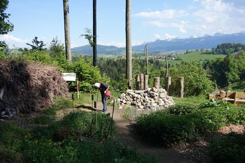 Steinhaufen - Bannholz