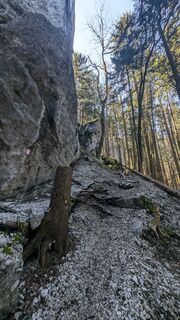 Fotografie de la Klaus Lehner de-a lungul turului