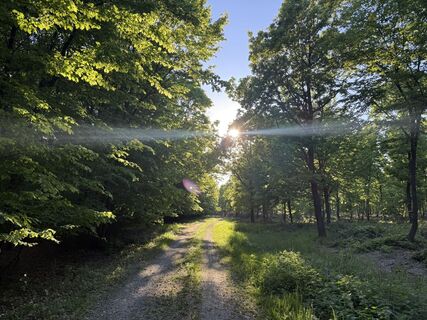 Foto de Bine Pan a lo largo del recorrido