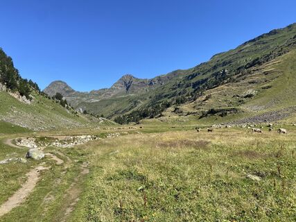 Fotografia z Gisela Walz na trase