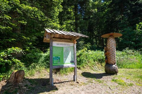 Pfisterwald