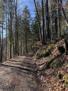 Foto von Denise Miller entlang der Tour