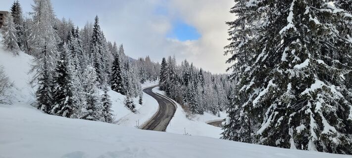 Foto von Nicky entlang der Tour