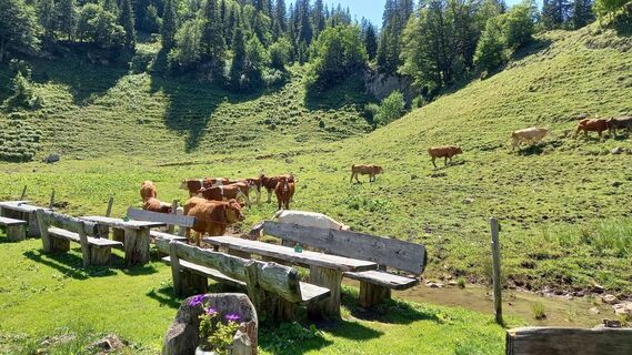 Foto von TeufelChristian entlang der Tour