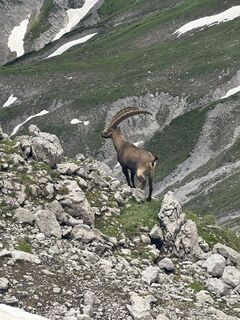 Foto von Anna Hofmarcher entlang der Tour