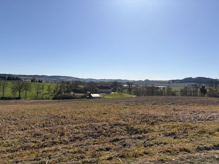 Zdjęcie z Nina Astleitner wzdłuż trasy