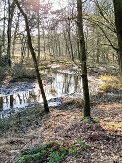 Foto von Kees Kalkman entlang der Tour