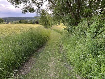 Fotografia z GeorgZ na trase